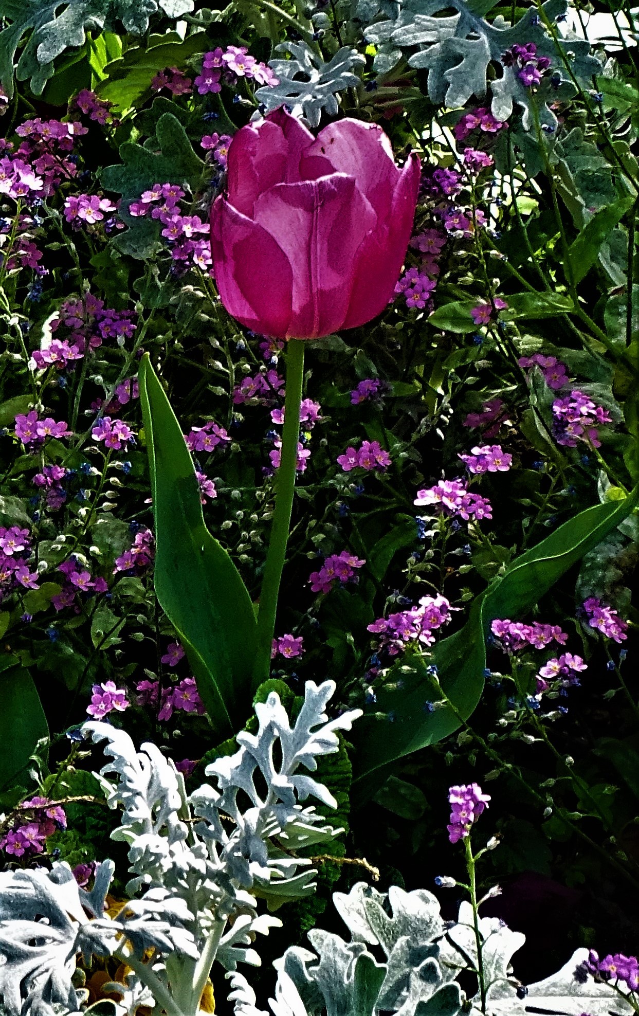 Dsc04396 10 18 
