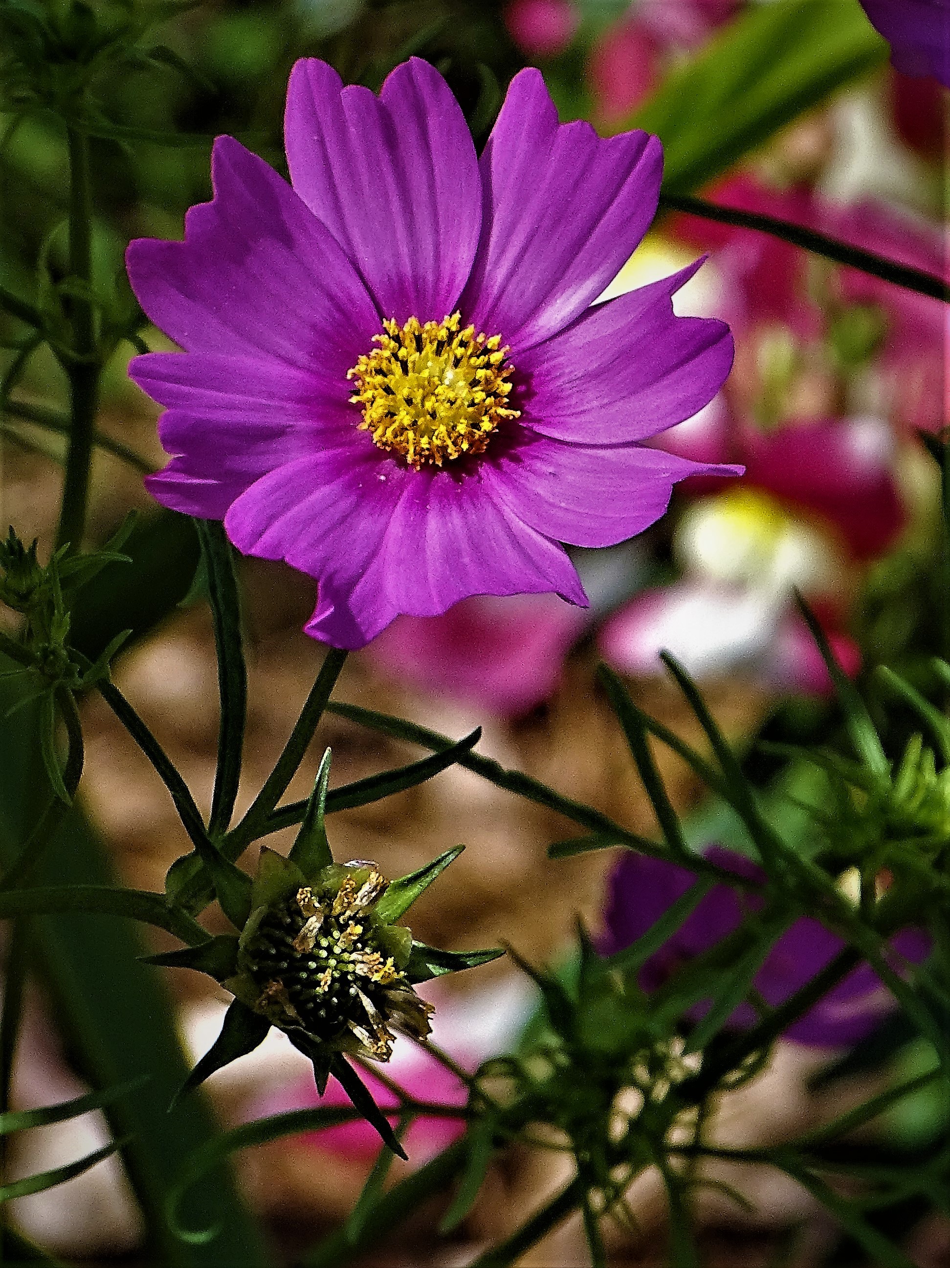 Dsc07786 3 1