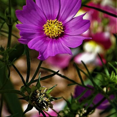 Dsc07786 3 1